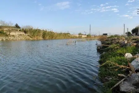 اجاره ویلا در سرخرود - با بهارخواب