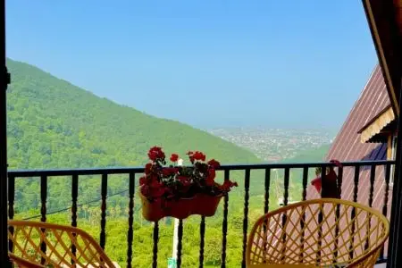 کلبه سوئیسی جنگلی جکوزی دار در اربه کله
